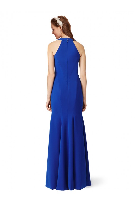 Boutique Bleu roi Sirène Col V Crêpe Stretch Longue Formelles Robes demoiselle d'honneur / Robes de soirée / Robes de bal