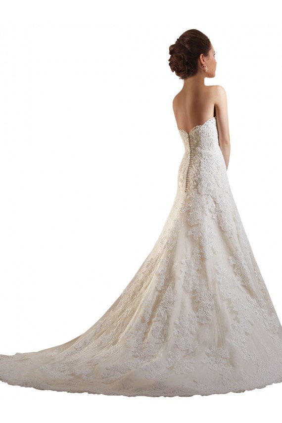 Boutique Ivoire & Champagne Trapèze Tulle Dentelle Robes de mariée